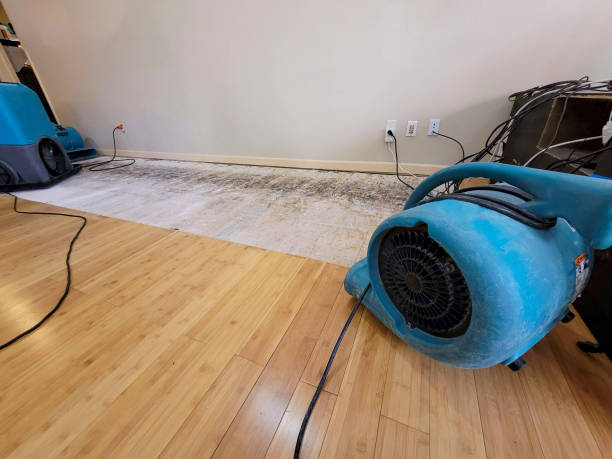 Professional Water Extraction technician working in Galena, KS